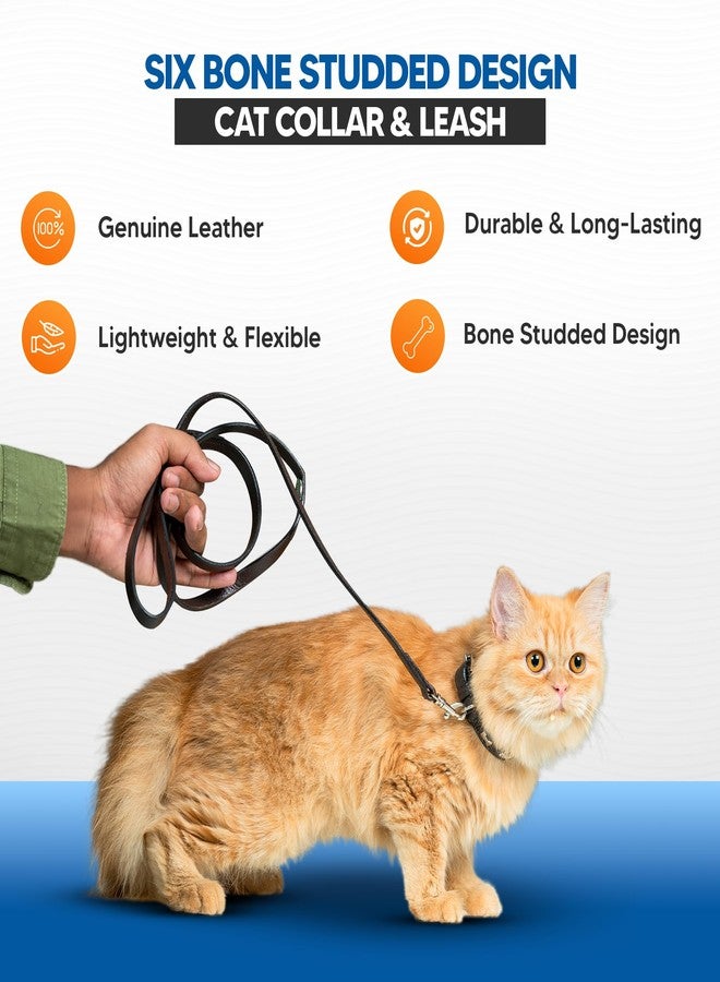 ADIL'S Adil’S Leather Cat Collar & Leash Set - Stylish Seven Bone Studded Design Collar, Genuine Leather, Adjustable Buckle & Secure 5ft Leash for Safe and Comfortable Outdoor Activity (Brown) - Image 3